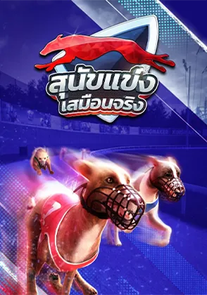 dog-race-card-page